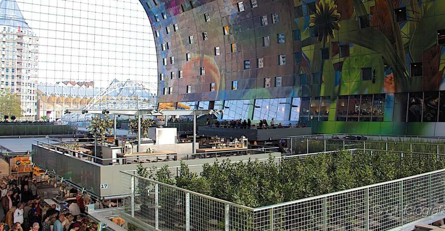 Rotterdam: City Center Walking Tour - From Groothandelsgebouw to Rotterdam City Hall