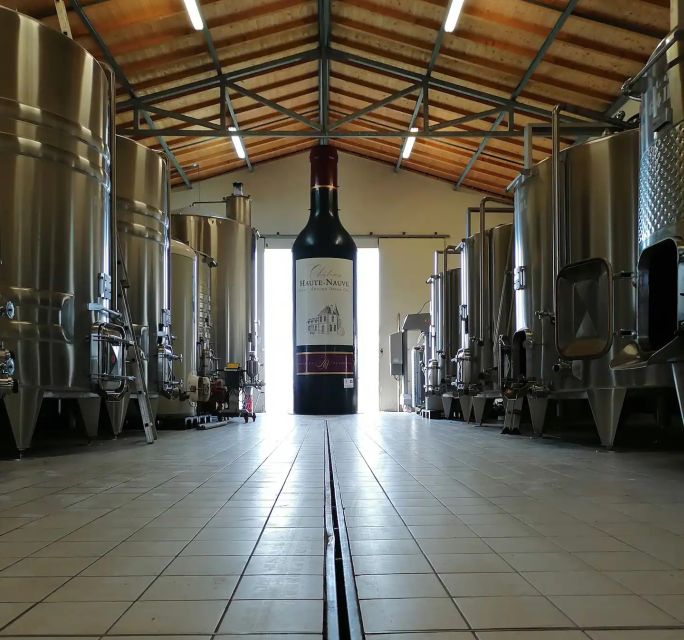 Saint-Émilion: Vineyard Walking Tour and Tasting - Key details at a glance