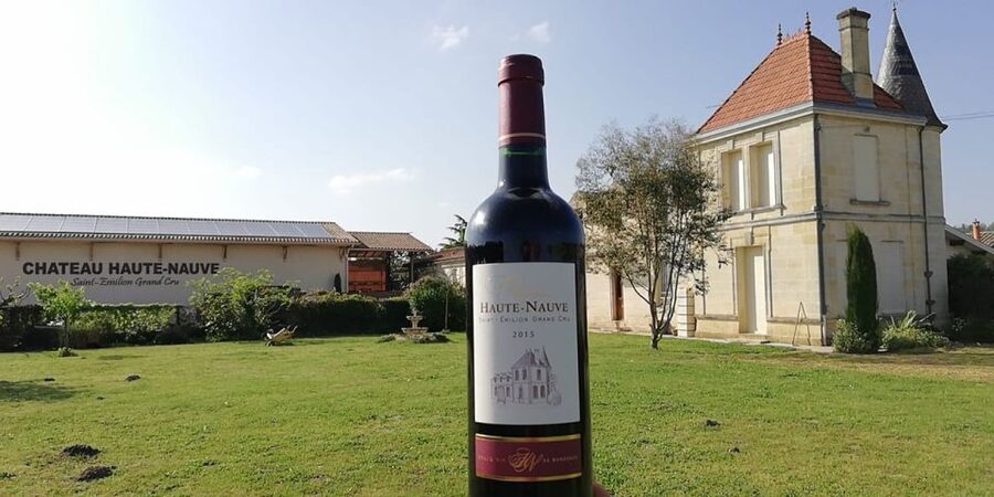 Saint-Émilion: Vineyard Walking Tour and Tasting - Why this small family estate feels different