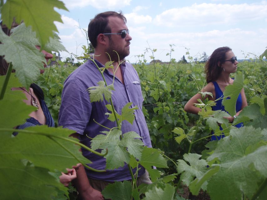 Saint-Émilion: Vineyard Walking Tour and Tasting - Walking the vines with Florent or Marie-Anne