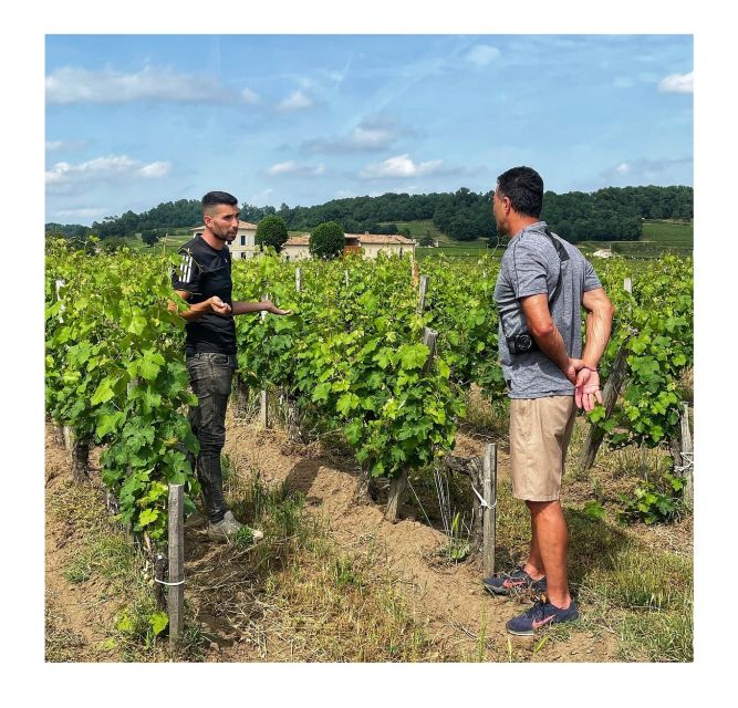 Saint-Émilion: Vineyard Walking Tour and Tasting - Is $29 good value?