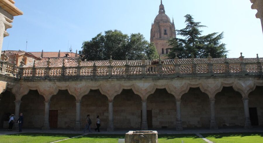 Salamanca: Monuments and Landmarks Guided Walking Tour - Why this Salamanca walk works so well