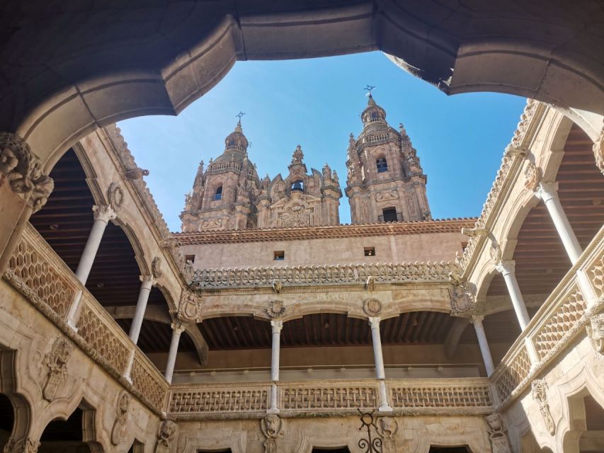Salamanca: Monuments and Landmarks Guided Walking Tour - Monterrey’s Palace and Salamanca’s sandstone style