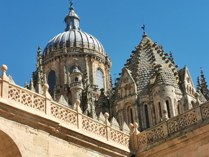 Salamanca: Monuments and Landmarks Guided Walking Tour - Finishing at Plaza de Anaya