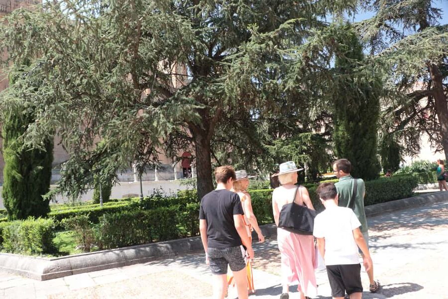 Salamanca: Private Walking Tour with a Local - Why a private Salamanca walk can be worth the money