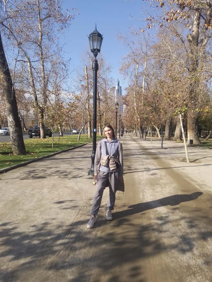 Santiago: Guided Walking Tour of the Historical Old Town - Bellas Artes and the art side of Santiago