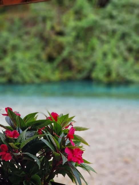 Sarande: Blue Eye Kayak and walking tour & Lekursi Castle - What $45 includes, and where the value comes from