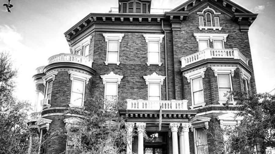 Savannah: Ghosts, Asylums, Voodoo, and Horror Walking Tour - How frightening and graphic is it?