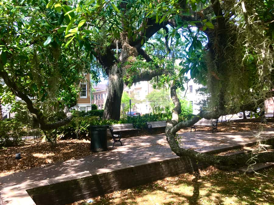 Savannah: Highlights Off the Beaten Path Guided Walking Tour - Key points to know before you book