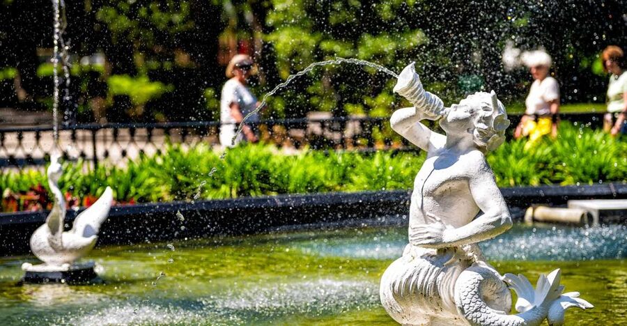 Savannah: History and Culture Walking Tour - Key points to know before you book