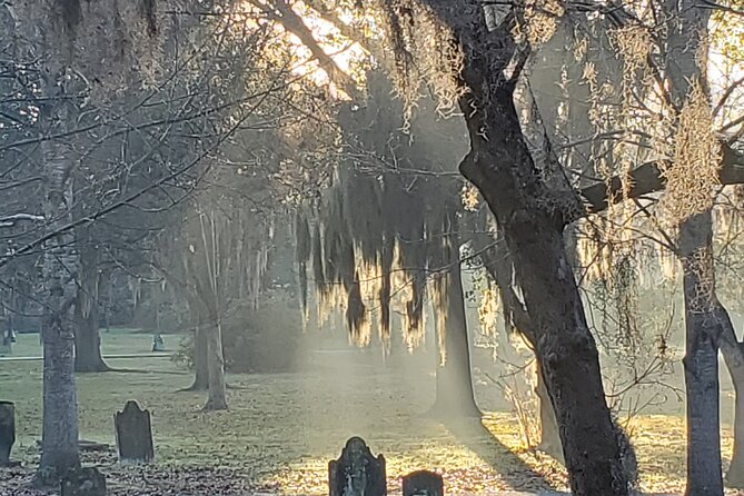 Savannah History and Haunts Candlelit Ghost Walking Tour - Lanterns, oaks, and Savannah after dark