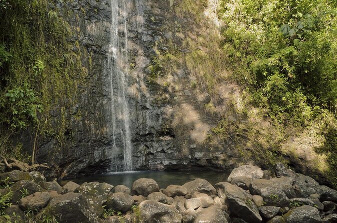 Self guided Hike Trail to Nature Walk & Waterfall - Four Things to Know Before You Book