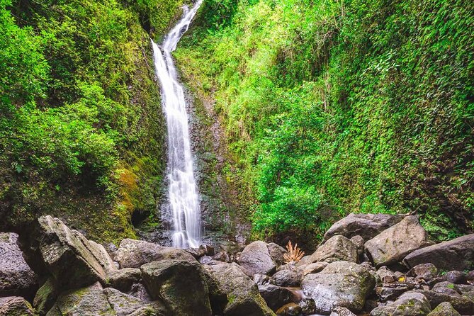 Self guided Hike Trail to Nature Walk & Waterfall - What the Three-Hour Outing Actually Feels Like