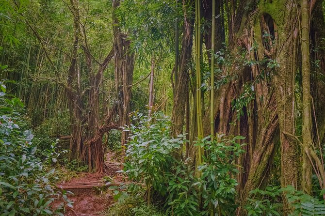 Self guided Hike Trail to Nature Walk & Waterfall - Is $79 a Fair Price?