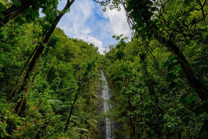 Self guided Hike Trail to Nature Walk & Waterfall - Who Will Enjoy This Hike Most?