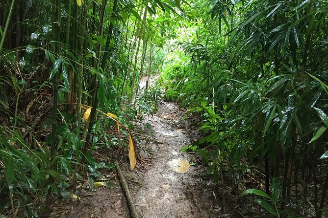 Self guided Hike Trail to Nature Walk & Waterfall - Booking, Weather, and Cancellation Details