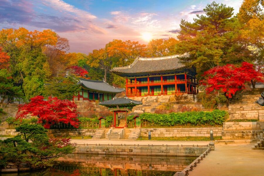Seoul: Gyeongbok Palace and Bukchon Hanok Walking Tour - Finishing in Insadong with practical Seoul advice