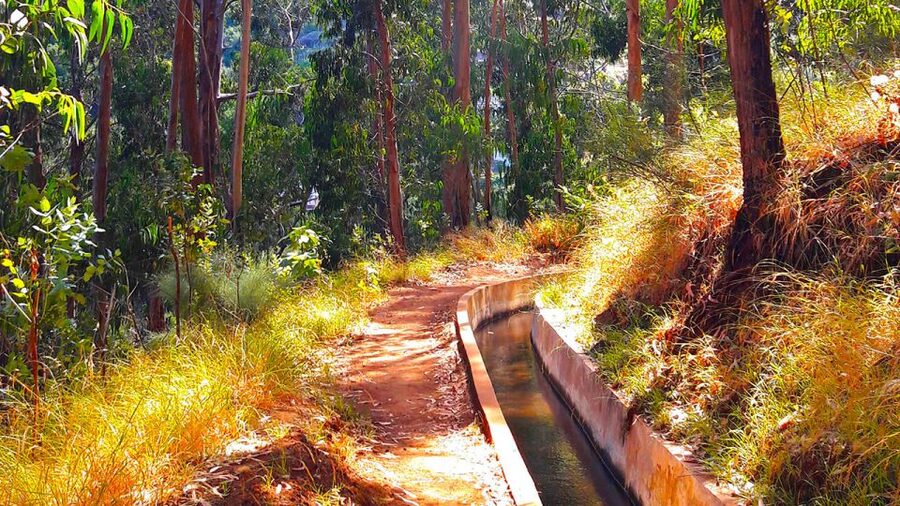 Serra de Água Valley Levada Walk - Key points before you book