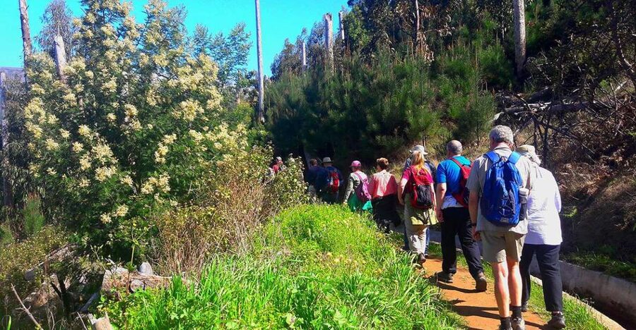 Serra de Água Valley Levada Walk - Why Serra de Água makes a good first levada walk