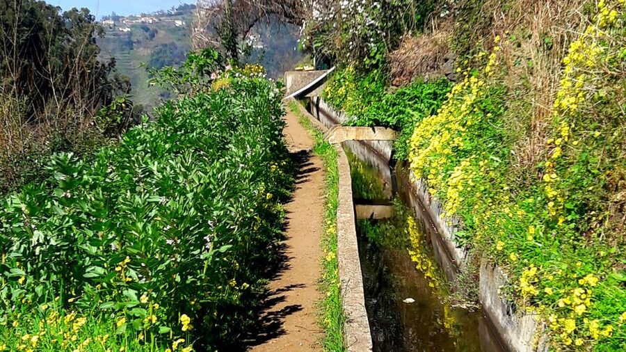 Serra de Água Valley Levada Walk - The views toward Encumeada and the coast