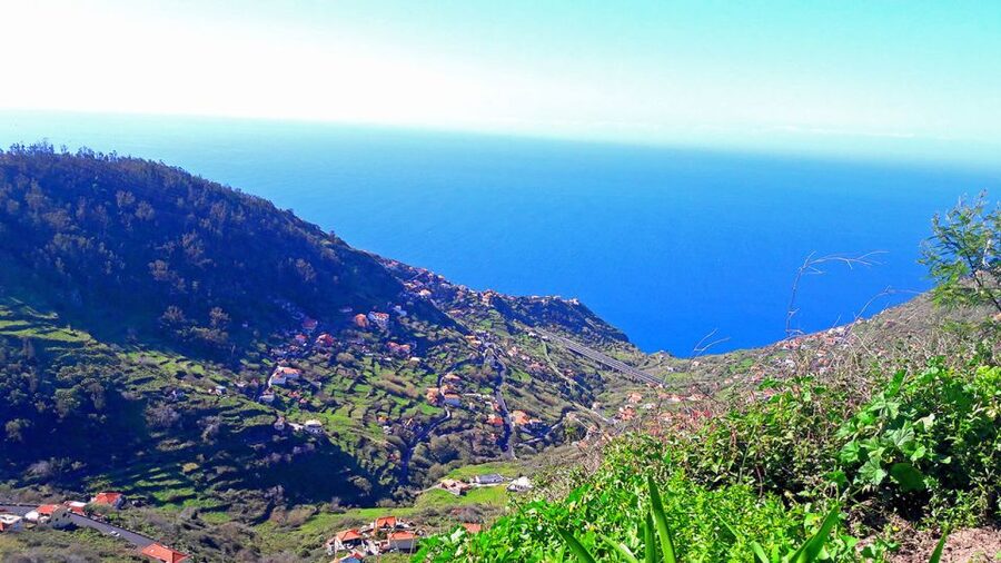Serra de Água Valley Levada Walk - Plants, animals, and the value of a guide