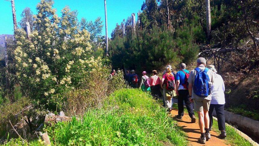 Serra de Água Valley Levada Walk - The hotel pickup and mountain drive
