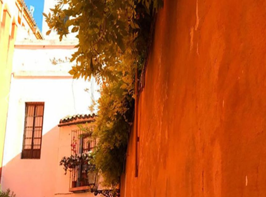 Seville: 1-Hour Walking Tour Barrio de Santa Cruz - Price, value, and the right expectations