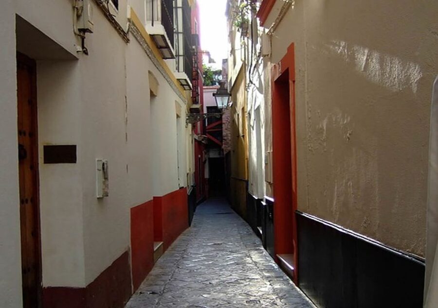 Seville: 1-Hour Walking Tour Barrio de Santa Cruz - Weather, comfort, and accessibility