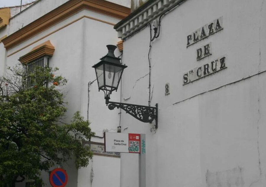 Seville: 1-Hour Walking Tour Barrio de Santa Cruz - Who will enjoy this walk most