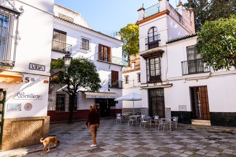 Seville: Santa Cruz Old Jewish Quarter Walking Tour - Orange trees, tapas bars, and daily Seville