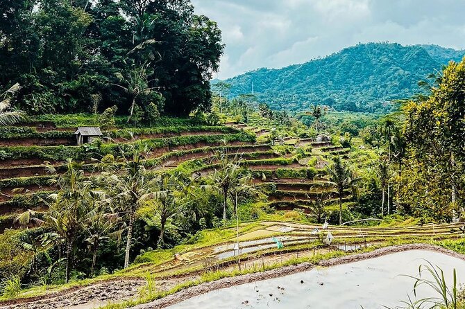 Sidemen Trekking: A Walk from a Different Perspective - Following the irrigation route toward Mount Agung