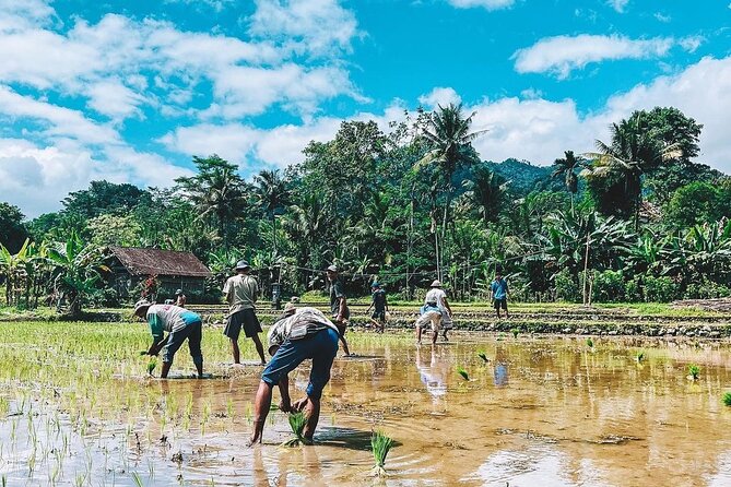 Sidemen Trekking: A Walk from a Different Perspective - Babakan Dukuh Rice Terrace and the final stretch