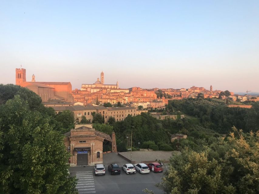 Siena: 3h Private City Walking Tour with Optional Cathedral - Who should book this Siena walking tour?