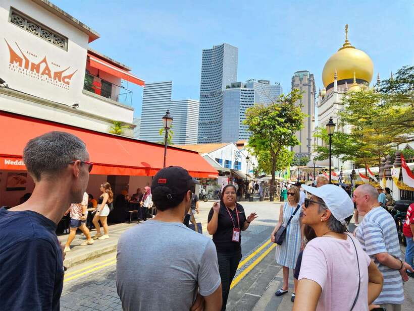 Singapore: Chinatown and Little India Guided Walking Tour - Finishing in Chinatown and seeing older Singapore