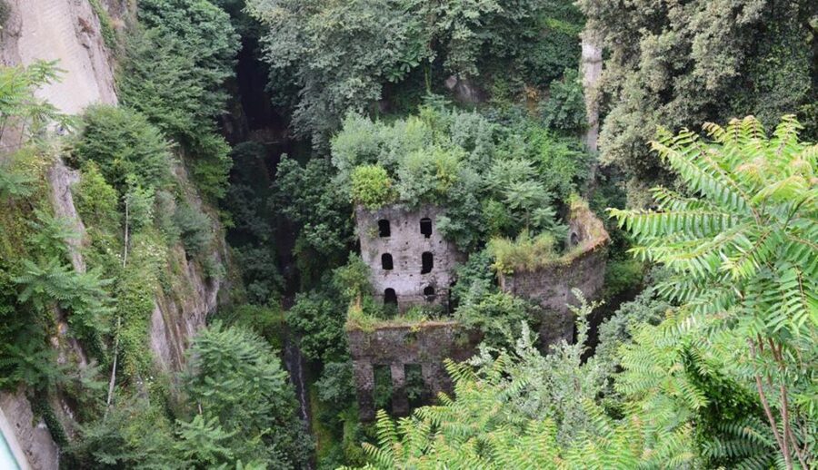 Sorrento: Guided Walking Tour & Limoncello Tasting - A small lemon garden and the making of limoncello
