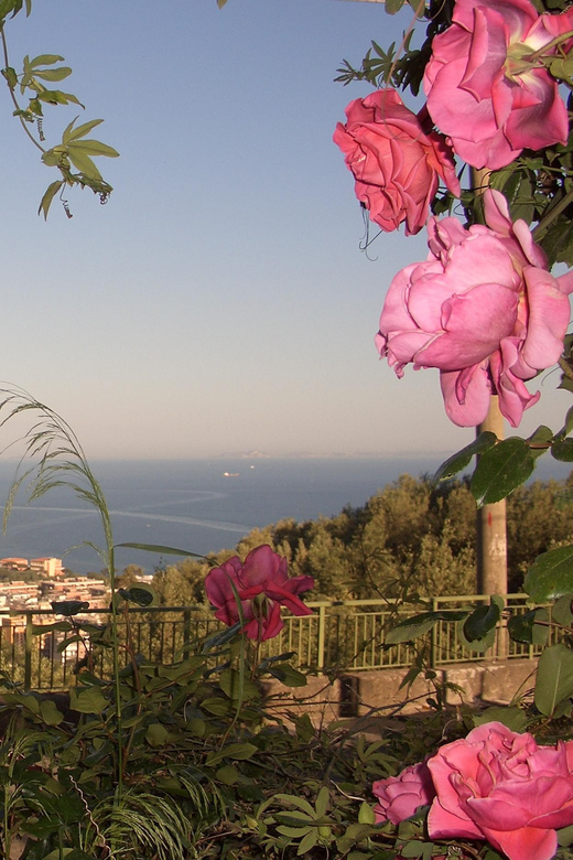 Sorrento: Walking Tour in Lemon Garden w/ Food Tasting - Leaving Sorrento for the lemon hills