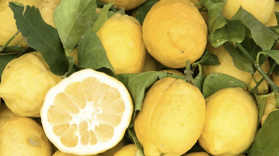 Sorrento: Walking Tour in Lemon Garden w/ Food Tasting - Seeing how olive oil is made