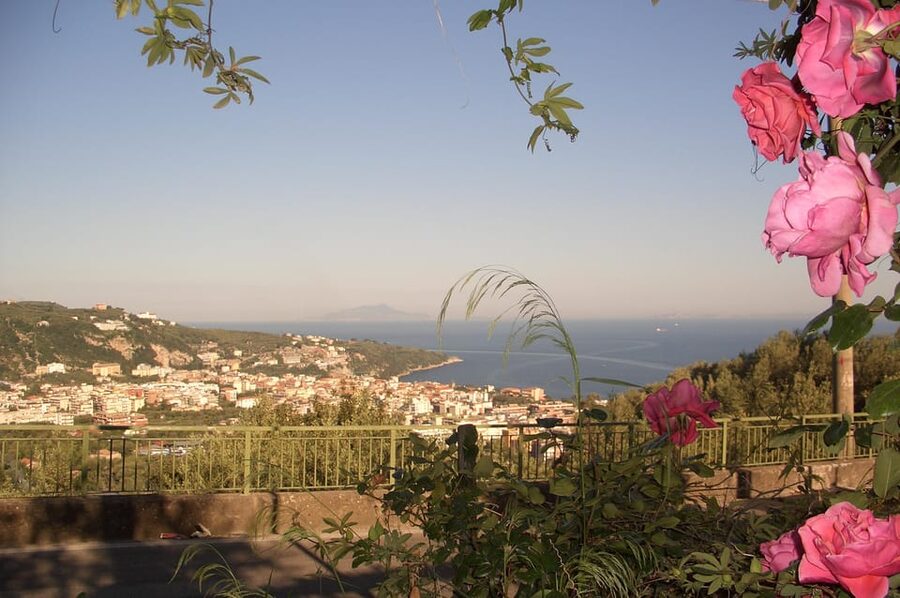 Sorrento: Walking Tour in Lemon Garden w/ Food Tasting - Limoncello, marmalade, and the final tasting