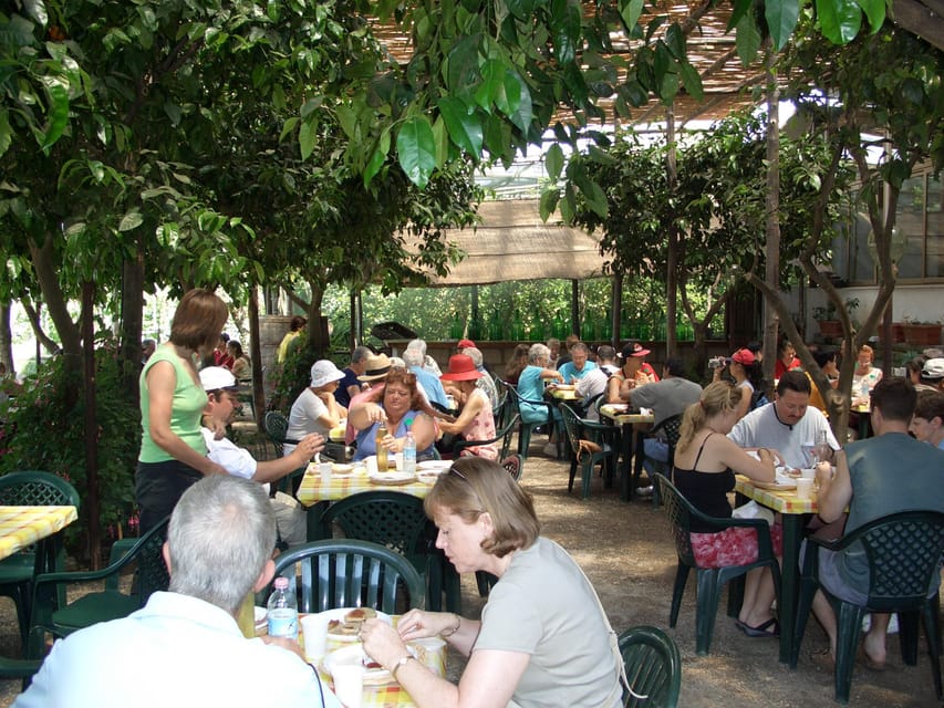 Sorrento: Walking Tour in Lemon Garden w/ Food Tasting - Is $81 a fair price?