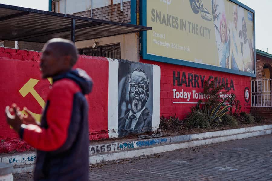 Soweto: Walking Tour with a Local Guide and Lunch - What the guides add