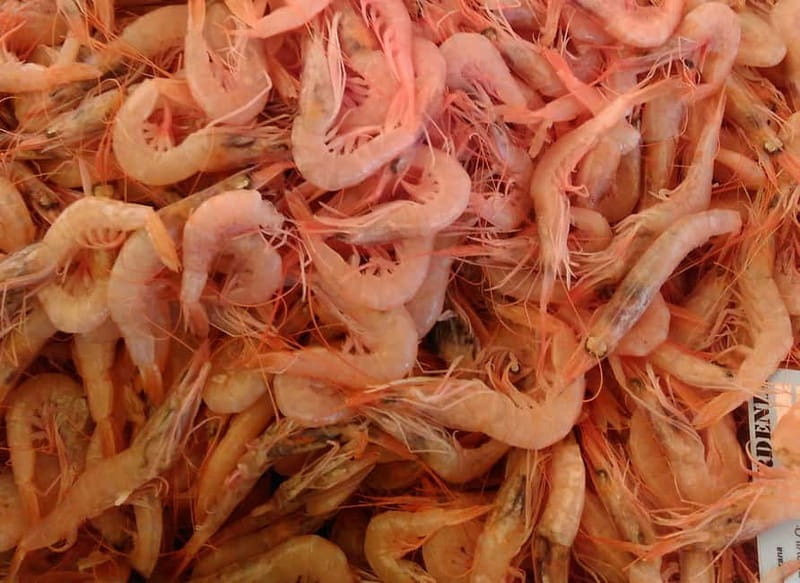 Split: Food Tasting Walking Tour - Split Fish Market and salted anchovies