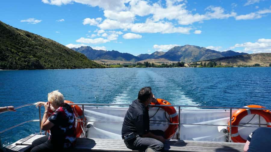 Stevensons Island 2-Hour Cruise and Nature Walk - Key things to know before you go