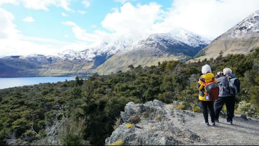 Stevensons Island 2-Hour Cruise and Nature Walk - The return cruise and the simple tea break
