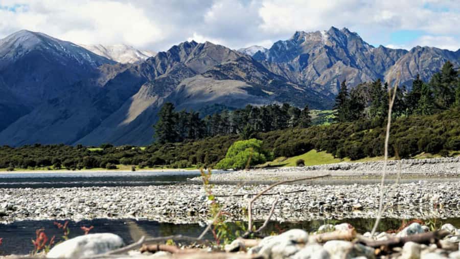 Stevensons Island 2-Hour Cruise and Nature Walk - How much does the $50 fare really deliver?