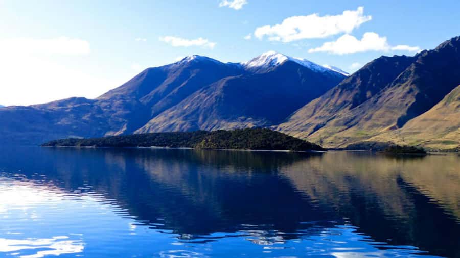 Stevensons Island 2-Hour Cruise and Nature Walk - Who will enjoy this cruise most?