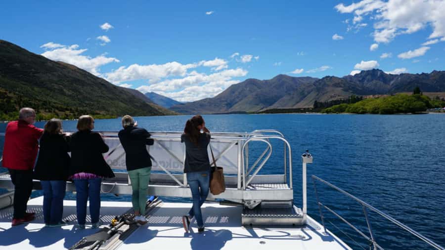 Stevensons Island 2-Hour Cruise and Nature Walk - Should you book Stevensons Island?
