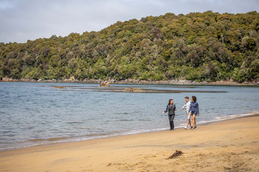 Stewart Island: Ulva Island Guided Wilderness Walk & Cruise - What makes this Stewart Island trip worthwhile