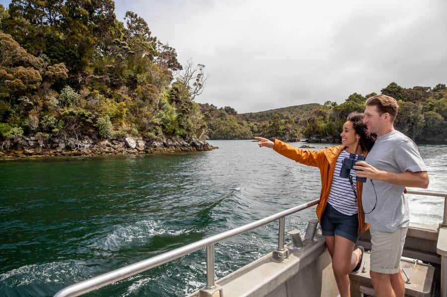 Stewart Island: Ulva Island Guided Wilderness Walk & Cruise - Meeting the boat at Halfmoon Bay