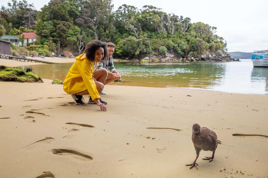 Stewart Island: Ulva Island Guided Wilderness Walk & Cruise - Stepping ashore on Ulva Island