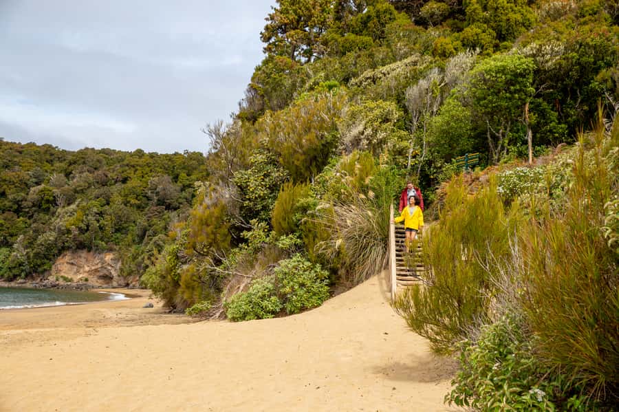 Stewart Island: Ulva Island Guided Wilderness Walk & Cruise - Why the guide changes the walk